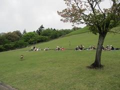 IMG_7856.jpg