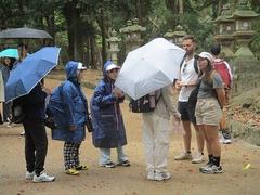 IMG_7862.jpg