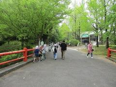 IMG_2991.jpg