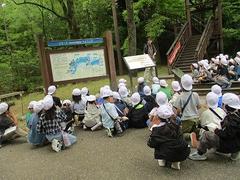 IMG_2989.jpg