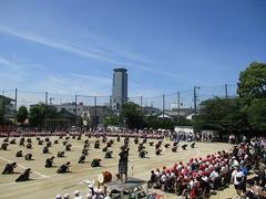 IMG_3067.jpg