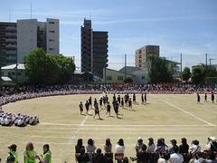IMG_3082.jpg