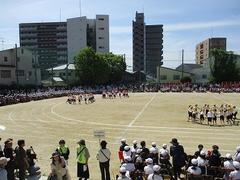 IMG_3038.jpg
