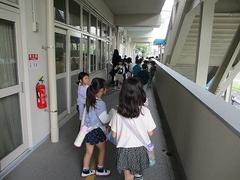 IMG_3147.jpg