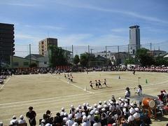 IMG_3020.jpg