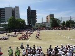 IMG_3019.jpg