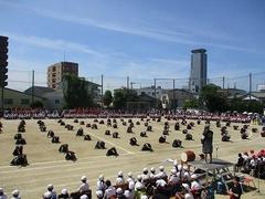 IMG_3066.jpg