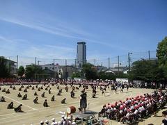 IMG_3073.jpg