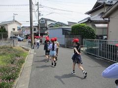IMG_3006.jpg