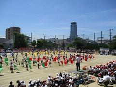 IMG_8093.jpg
