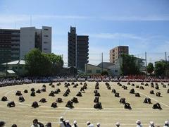 IMG_3065.jpg