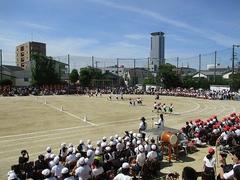 IMG_3021.jpg