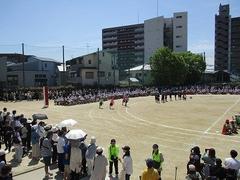 IMG_3098.jpg