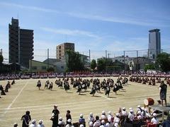 IMG_3058.jpg