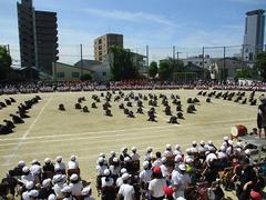 IMG_3055.jpg