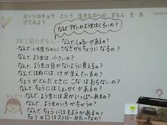 IMG_3106.jpg