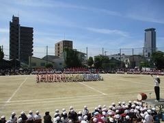 IMG_3053.jpg