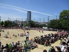 IMG_3100.jpg