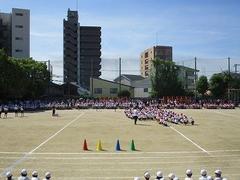 IMG_3012.jpg
