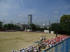 IMG_7918.jpg