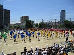 IMG_8088.jpg