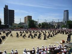 IMG_3075.jpg