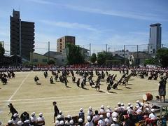 IMG_3060.jpg