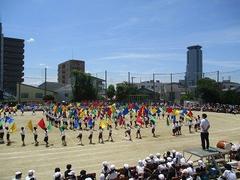 IMG_8109.jpg