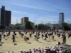 IMG_3072.jpg