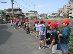 IMG_3005.jpg
