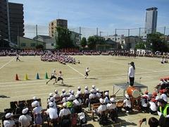 IMG_3013.jpg