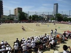 IMG_3024.jpg