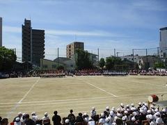 IMG_3034.jpg