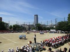 IMG_3040.jpg