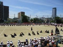 IMG_3063.jpg