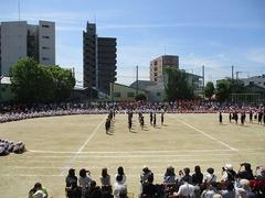 IMG_3087.jpg