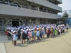 IMG_7872.jpg