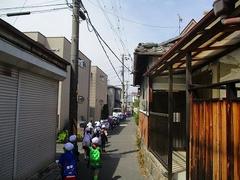 IMG_7874.jpg