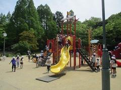 IMG_7879.jpg