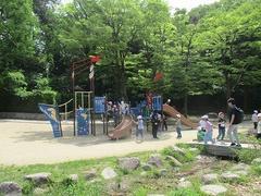 IMG_7880.jpg