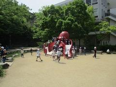 IMG_7881.jpg