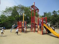 IMG_7882.jpg