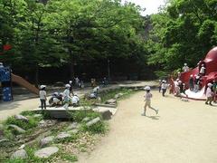 IMG_7883.jpg