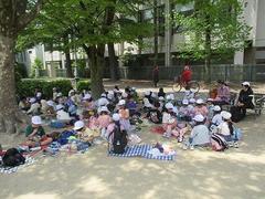 IMG_7896.jpg
