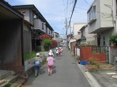 IMG_7899.jpg