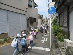 IMG_7900.jpg