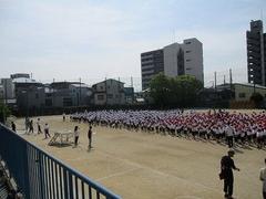 IMG_7915.jpg