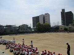 IMG_7917.jpg