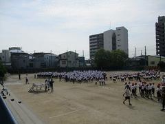 IMG_7919.jpg