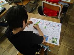 IMG_7929.jpg